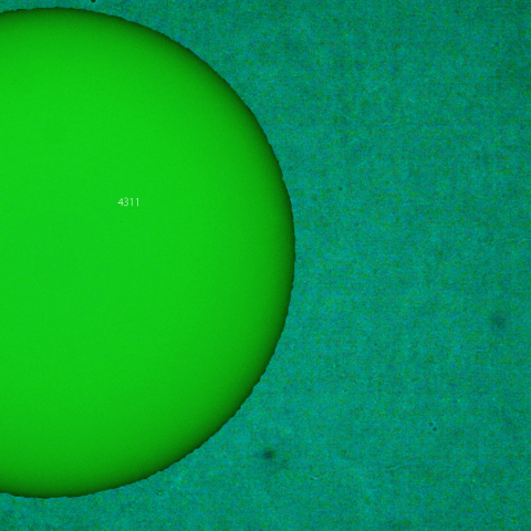 活動領域 4311：2025/12/19