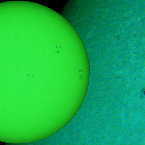 活動領域 4324：2025/12/29