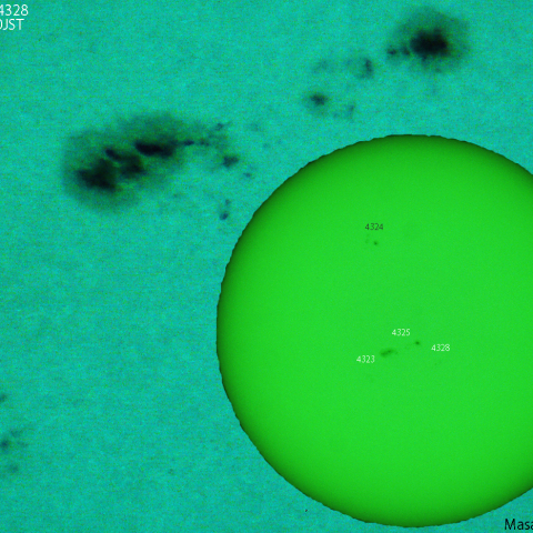 活動領域 4323,4325,4328：2026/01/01