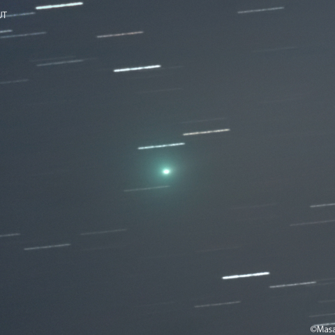 ショーマス彗星 ( 24P )：2025/12/31