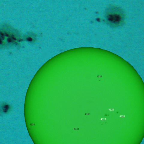 活動領域 4323,4325,4328:2026/01/03