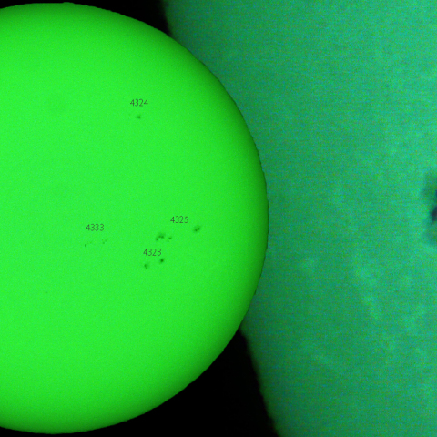 活動領域 4334:2026/01/04