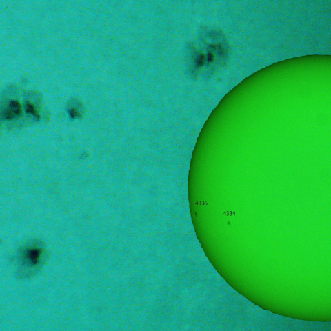 活動領域 4323,4325:2026/01/05