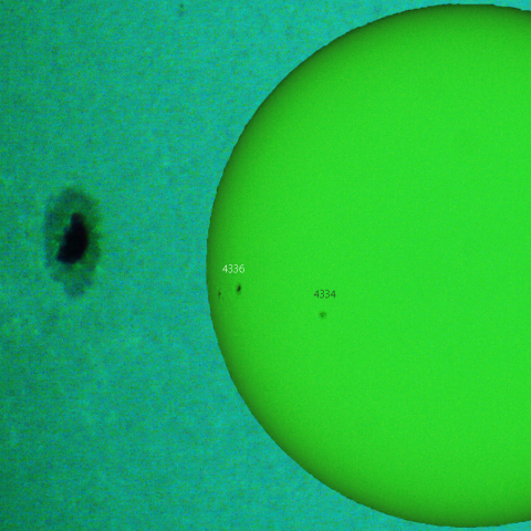 活動領域 4336：2026/01/06