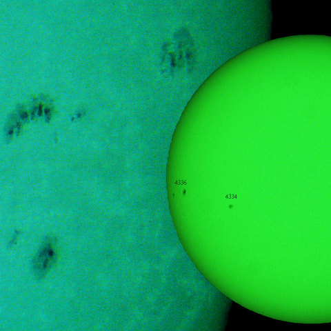 活動領域 4323,4325：2026/01/06