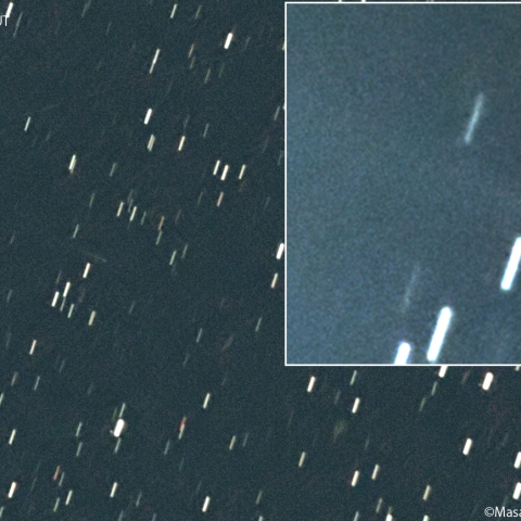 アトラス彗星 ( C/2025K1 )：2026/01/08