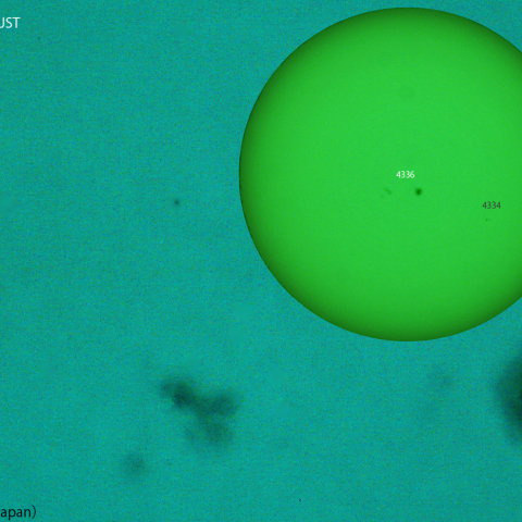 活動領域 4336：2026/01/11