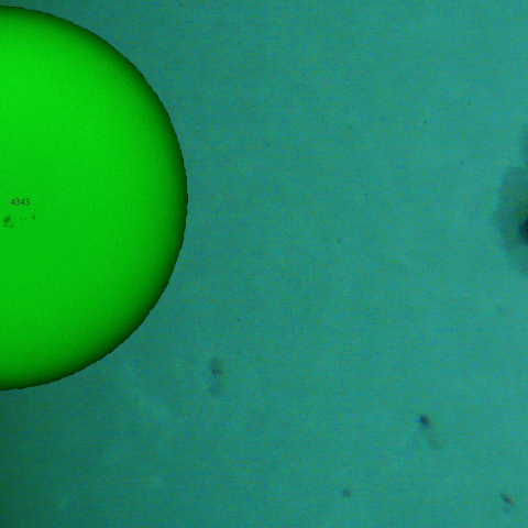 活動領域 4341,4345,4346：2026/01/17