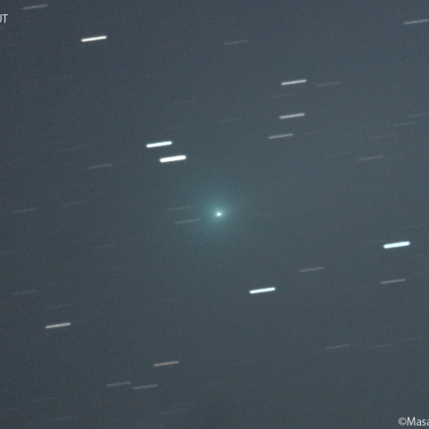 ショーマス彗星 ( 24P )：2026/01/15