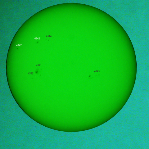 活動領域 4342,4347：2026/01/18