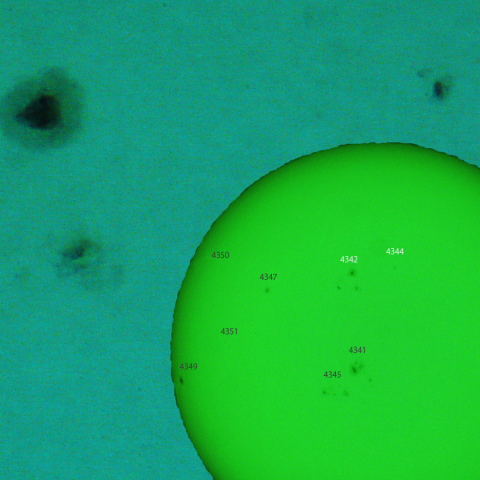 活動領域 4342,4344：2026/01/20