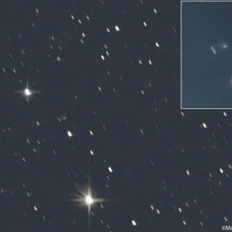 ニート彗星 (240P／240P-B)：2026/01/20