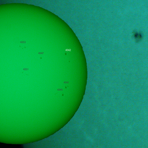 活動領域 4342:2026/01/24