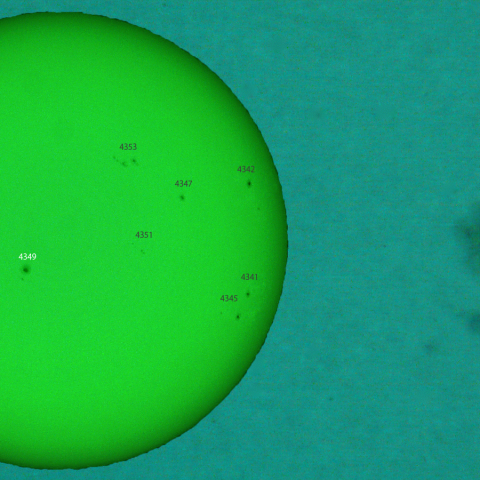 活動領域 4349：2026/01/25