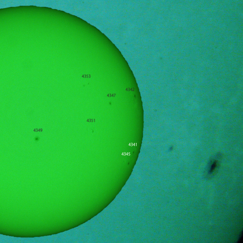 活動領域 4341,4345：2026/01/26