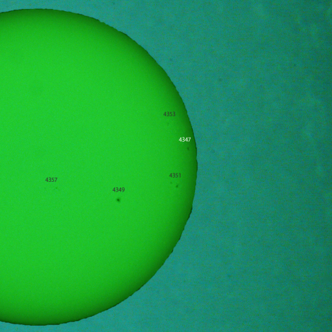 活動領域 4347：2026/01/28