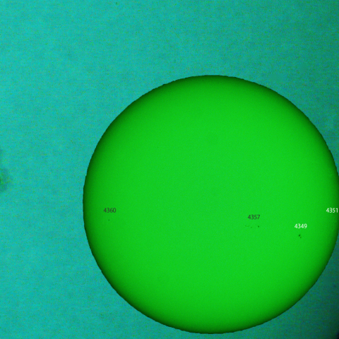 活動領域 4349,4351：2026/01/29