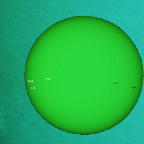 活動領域 4360,4362,4363：2026/01/30