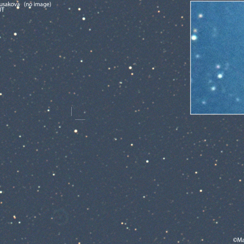 本田・ムルコス・パイドゥシャーコヴァー彗星 (45P ) の予報位置：2026/01/28