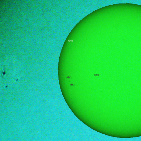 活動領域 4366：2026/01/31