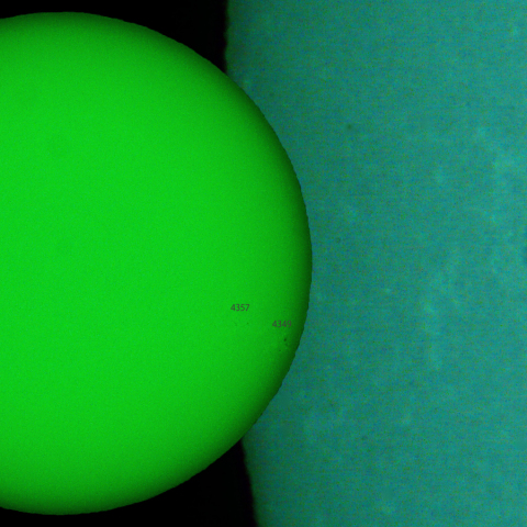 活動領域 4362,4363：2026/01/31