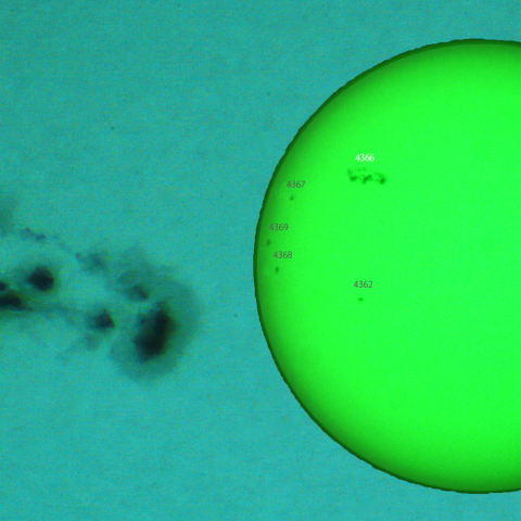 活動領域 4366：2026/02/02