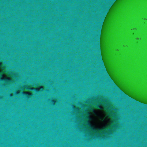 活動領域 4366：2026/02/05