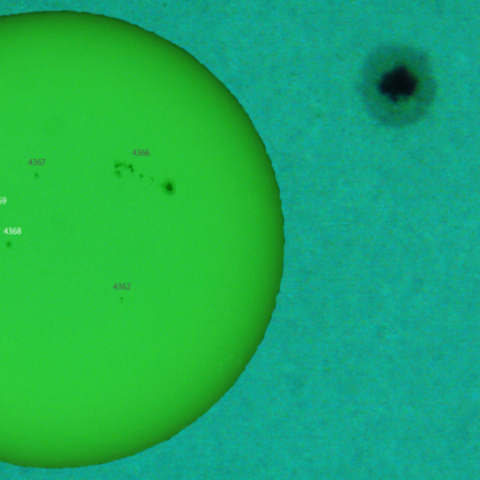 活動領域 4368,4369：2026/02/6