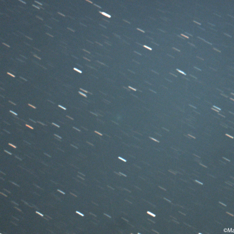 孫-高彗星 (C/2026B2)：2026/02/06