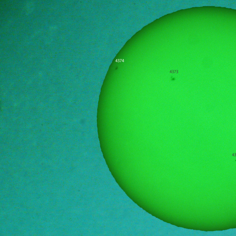 活動領域 4374：2026/02/10