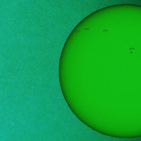 活動領域 4373：2026/02/15