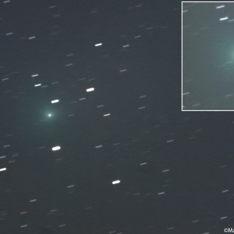 ショーマス彗星 ( 24P )：2026/02/14