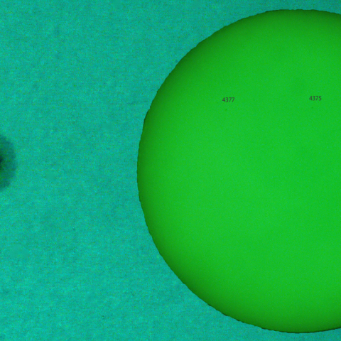 活動領域 4374：2026/02/17