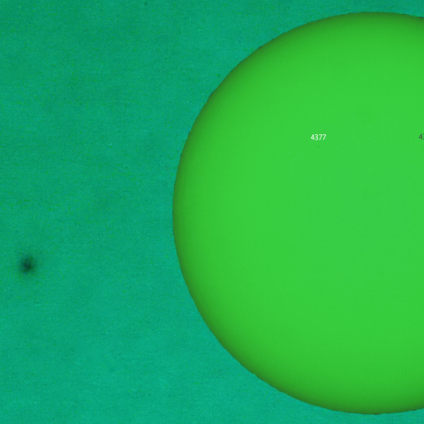 活動領域 4377：2026/02/18