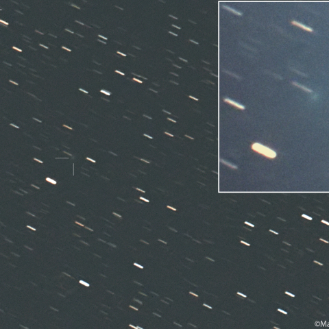 今朝の孫-高彗星 (C/2026B2)：2026/02/19