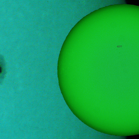 活動領域 4374：2026/02/19