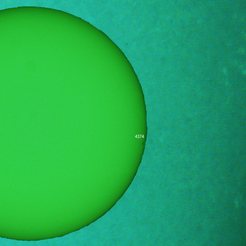 活動領域 4374：2026/02/21