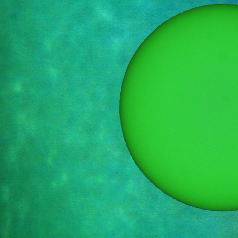 無黒点の太陽面：2026/02/23