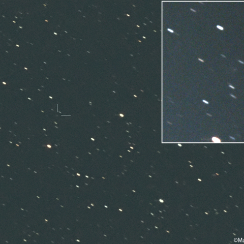 ニート彗星 (240P)：2026/02/22