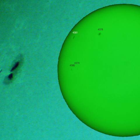 活動領域 4381：2026/03/01