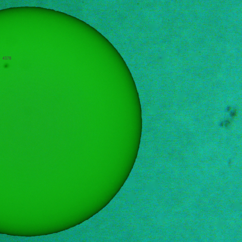 活動領域 4380：2026/03/02