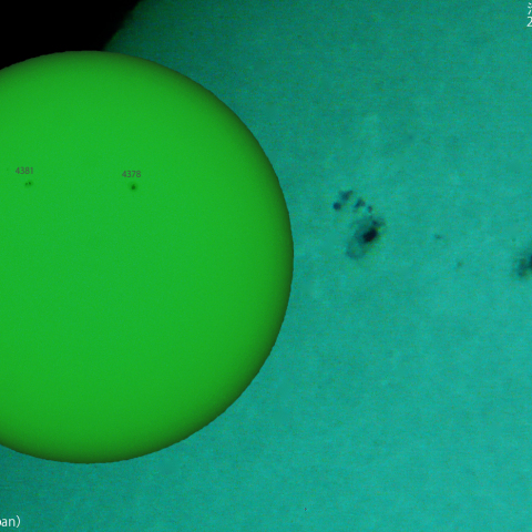 活動領域 4384：2026/03/04