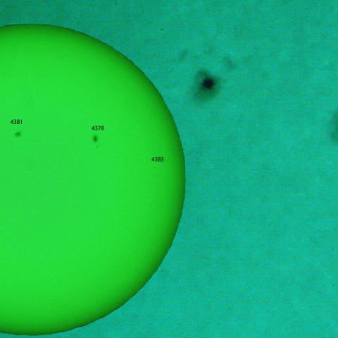 活動領域 4384：2026/03/05
