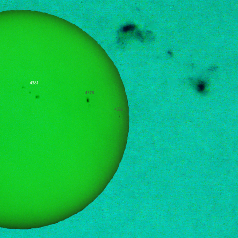 活動領域 4381：2026/03/06