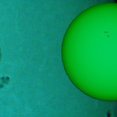 活動領域 4378：2026/03/06