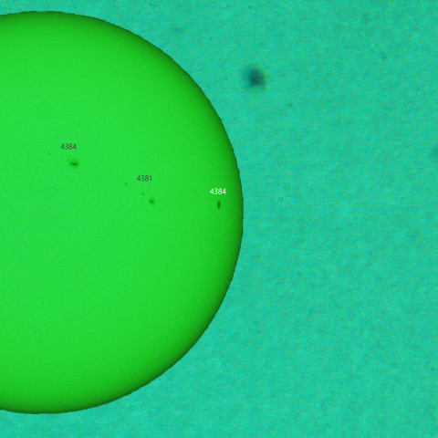 活動領域 4384：2026/03/08