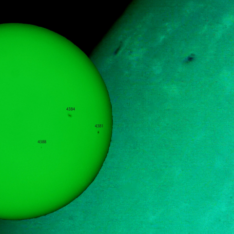 活動領域 4387：2026/03/10