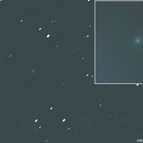 マップス彗星 (  C/2026A1 )：2026/03/10