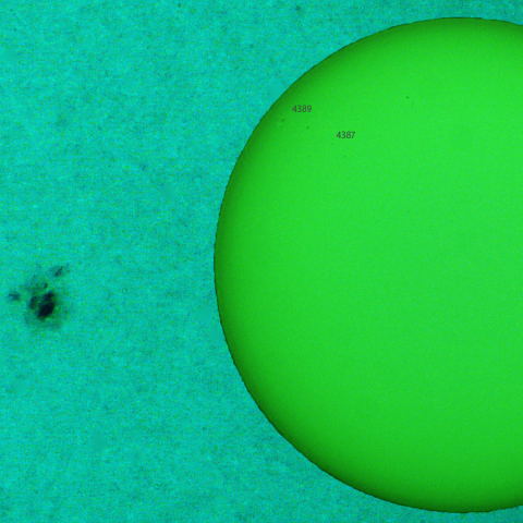 活動領域 4388：2026/03/11