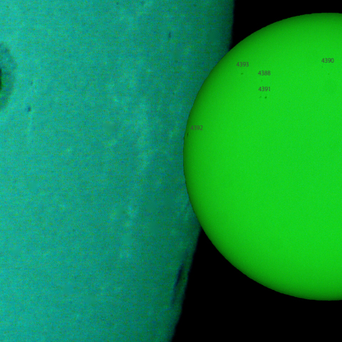 活動領域 4381,4384：2026/03/08